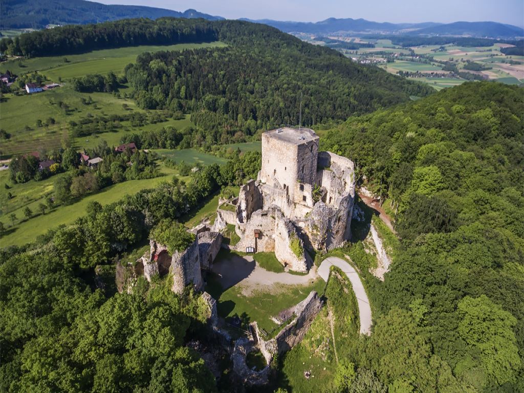 Château du Landskron à Leymen